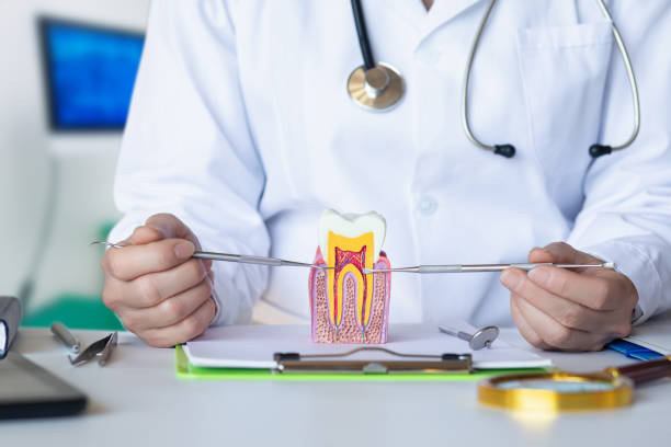 Best Cracked Tooth Emergency Dentist  in Van Buren, AR